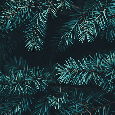 Veranstaltungen-Advent-400px